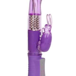 Shane's World Jack Rabbit G - Purple